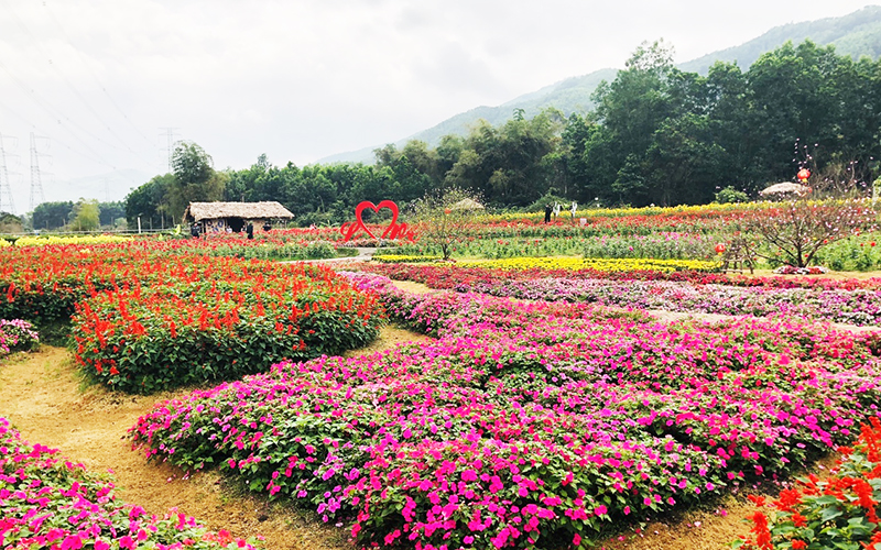Năm 2018, xã Thượng Yên Công thu hút doanh nghiệp đầu tư Thung lũng hoa Yên Tử, tạo nguồn thu trên địa bàn