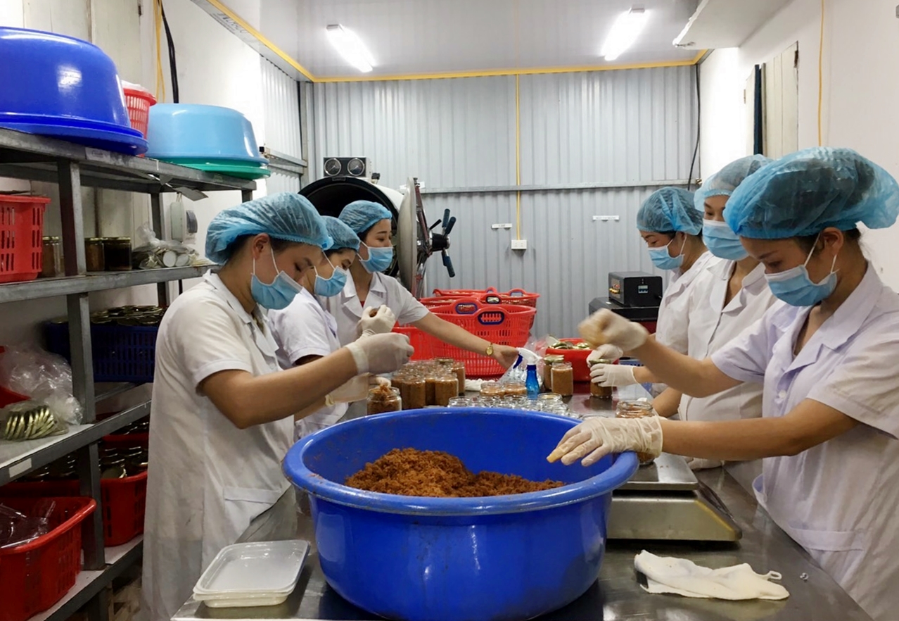 Do không có địa điểm để xây dựng nên Công ty TNHH Sản xuất và Thương mại thủy sản Quảng Ninh (huyện Vân Đồn) vẫn phải chế biến sản phẩm ở khu nhà xưởng chật hẹp, tạm bợ.
