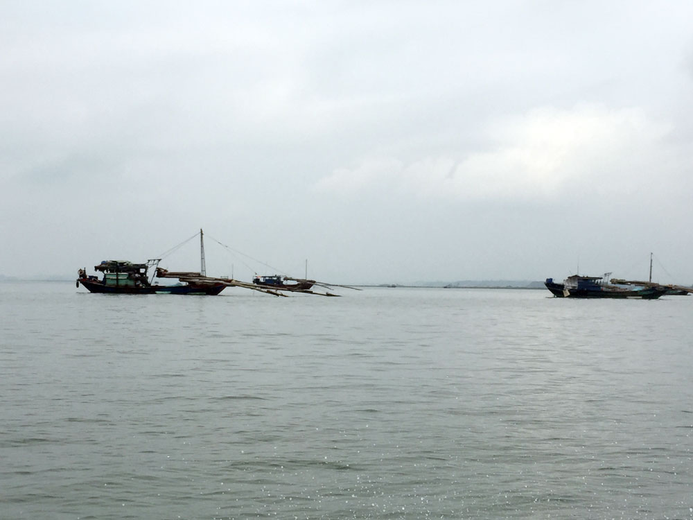 Rất nhiều tàu khai thác thủy sản bằng nghề cấm neo đậu tại khu vực cảng Ghềnh Võ, huyện Hải Hà nhưng không bị lực lượng chức năng, chính quyền địa phương xử lý.