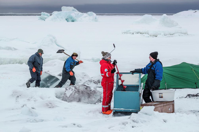 Greenland là một trong những địa điểm thực địa quan trọng đối với công tác nghiên cứu biến đổi khí hậu.