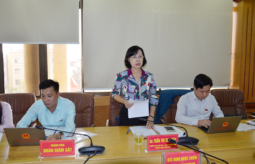 Đồng chí Trần Thị Thu Hoài, Trưởng Ban VH-XH, HĐND tỉnh phát biểu tại buổi làm việc.