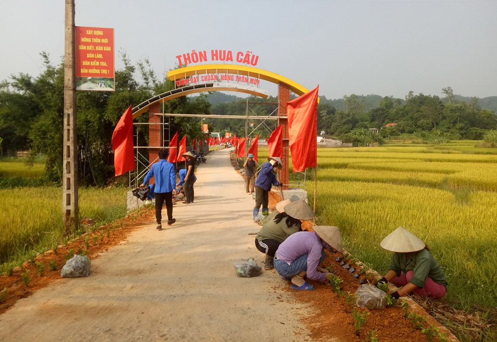 Người dân thôn Hua Cầu, xã Phong Dụ trồng hoa bên đường. Ảnh: Xuân Thao.