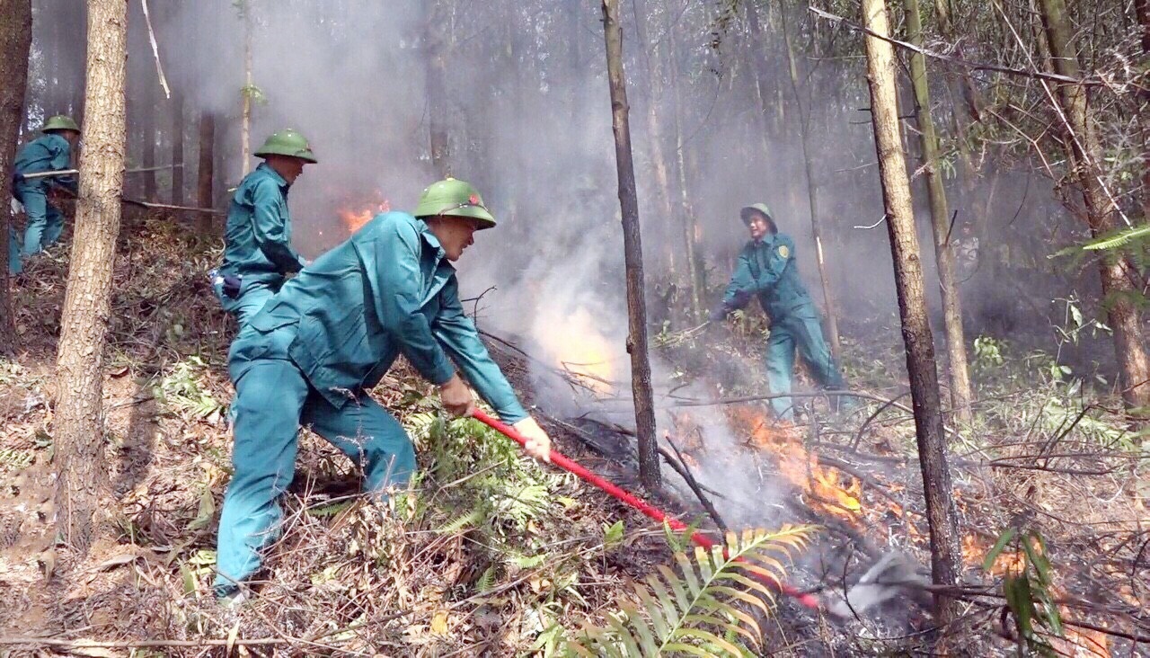 Lực lượng dân quân TP Hạ Long tích cực tham gia diễn tập phòng chống cháy rừng năm 2019. 