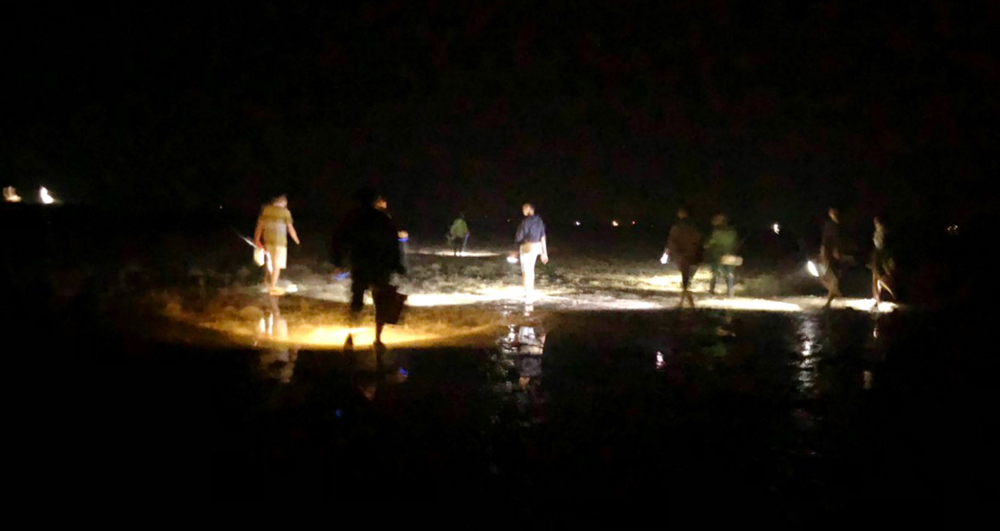 Mỗi buổi tối, tại khu vực bãi triều thôn 3, xã Quảng Thắng có hàng trăm người dân làm nghề soi biển