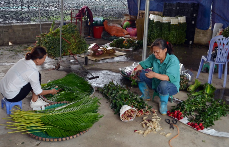 Không chỉ trực tiếp trồng, HTX Rau, hoa Đồng Chè còn kinh doanh cung cấp cho thị trường thành phố Hạ Long.