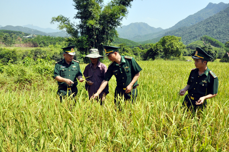 Cán bộ, chiến sỹ Đồn Biên phòng Quảng Đức hành quân dã ngoại chuẩn bị giúp dân thu hoạch lúa. Ảnh chụp ngày 18/10/2019