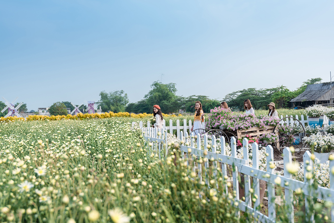 Ngoài cúc, khu vườn rộng lớn này còn nhiều loại hoa nở quanh năm, thu hút đông khách đến chụp ảnh.