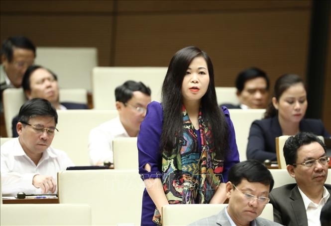 Đại biểu Quốc hội Thành phố Hà Nội Vũ Thị Lưu Mai phát biểu. Ảnh: Văn Điệp/TTXVN