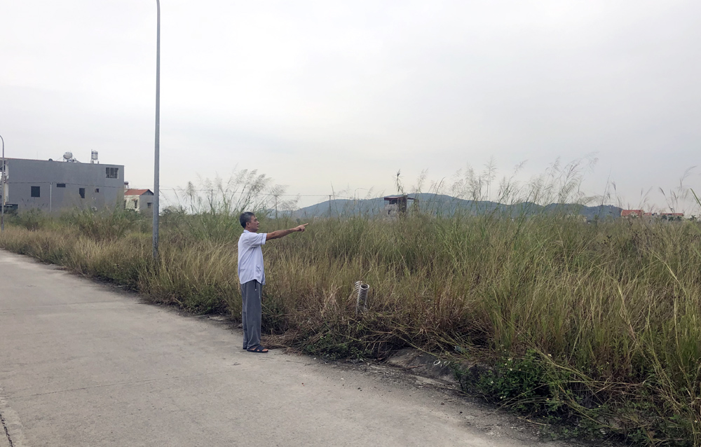 Diện tích Dự án Khu đô thị tại phường Trưng Vương cỏ mọc um tùm.