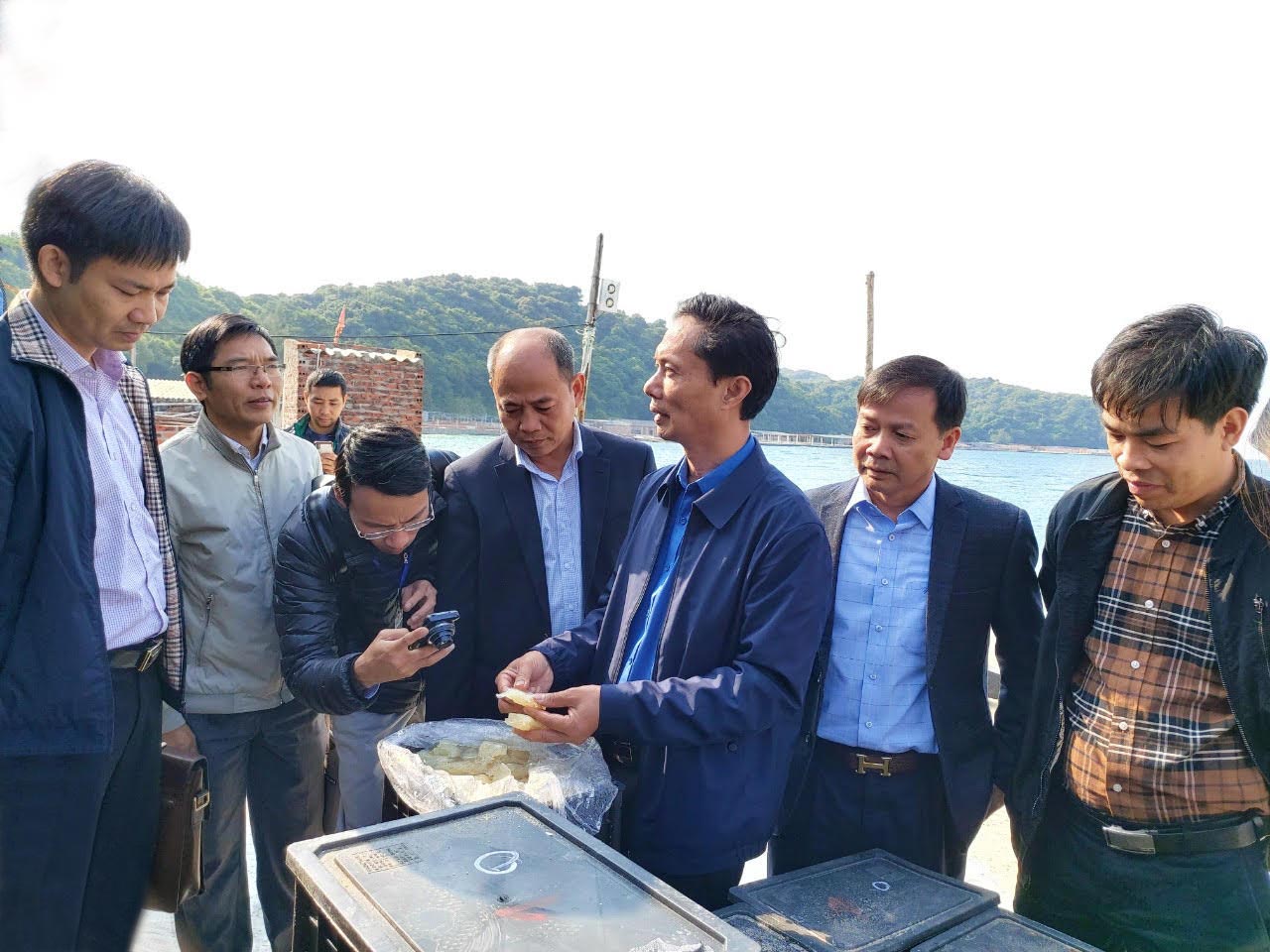  Đoàn công tác kiểm tra chất lượng sứa thành phẩm tại cơ sở của ông Lê Bá Tùng, khu 4 thị trấn Cô Tô.