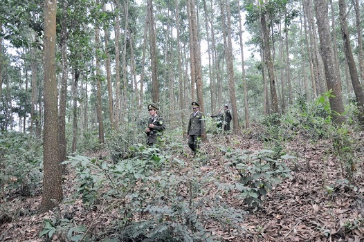 ừng phòng hộ Yên Lập được quản lý, bảo vệ và ngày càng được nâng cao về chất lượng và phẩm cấp rừng,..