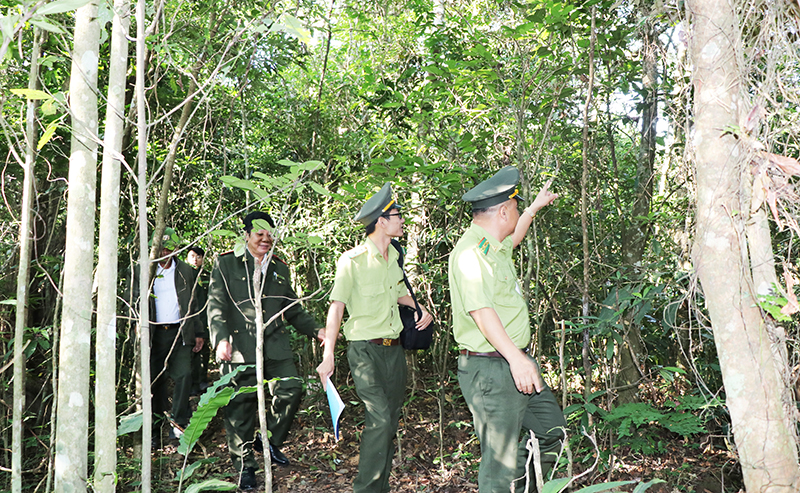 Lực lượng kiểm lâm Khu BTTN Đồng Sơn - Kỳ Thượng đi tuần tra rừng. Ảnh: Việt Hoa.