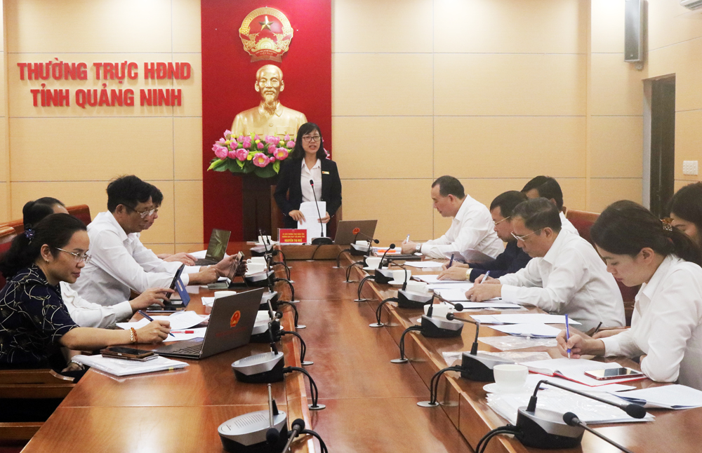 Đồng chí Nguyễn Thị Huệ, Trưởng Ban Pháp chế, HĐND tỉnh phát biểu kết luận cuộc họp thẩm tra.