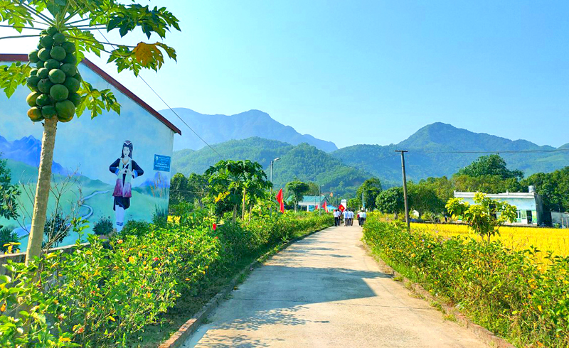 Đường liên thôn ở xã Hải Sơn (Móng Cái) được bê tông hóa, dọn dẹp thường xuyên tạo cảnh quan sạch đẹp cho xã. 
