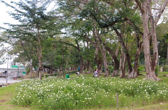 Công viên Lý Tự Trọng, công viên 3/2, công viên Thương Bạc, công viên Phú Xuân dọc bờ sông Hương dày đặc cây xanh. Ngoài cây xanh, hoa cũng được trồng thêm tại các công viên để tạo cảnh quan, không gian công cộng cho người dân.