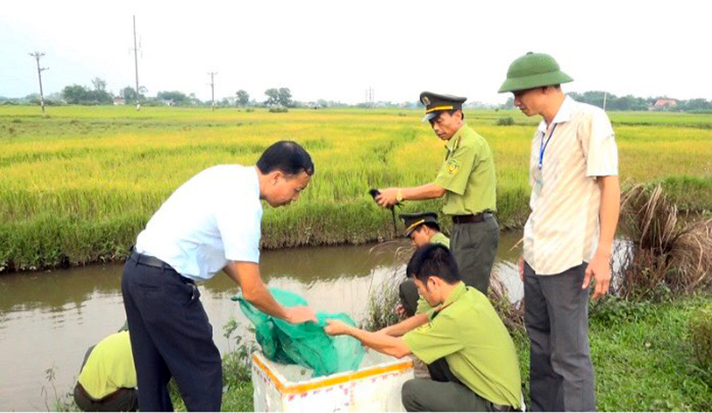 Lực lượng kiểm lâm huyện Hải Hà phối hợp với xã Quảng Thành xử lý tình trạng săn bắt chim di cư.