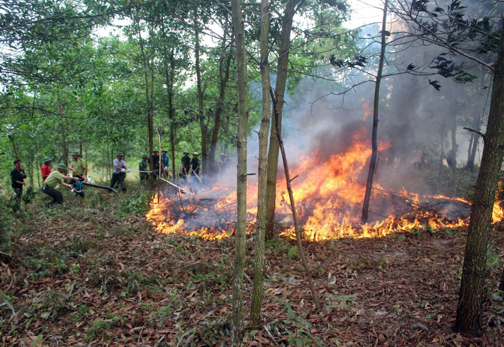 Huyện Hải Hà tổ chức diễn tập phòng cháy chữa cháy rừng năm 2019 tại xã Quảng Thành. (Ảnh: Hữu Việt).