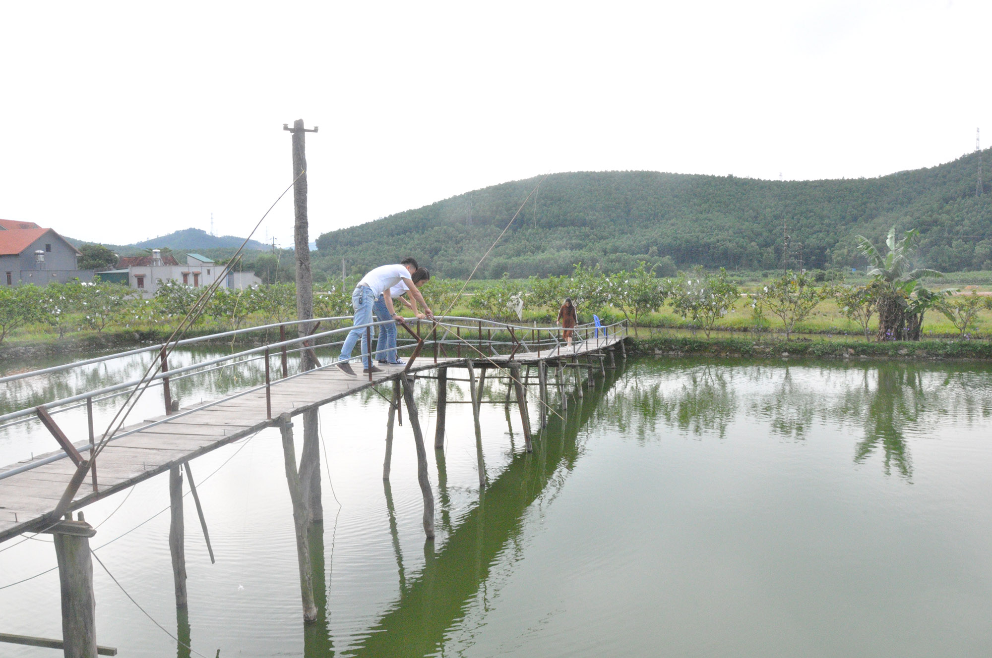 Du khách có những giây phút thư giãn câu cá tại mô hình du lịch sinh thái nhà ông Ân Văn Kim.