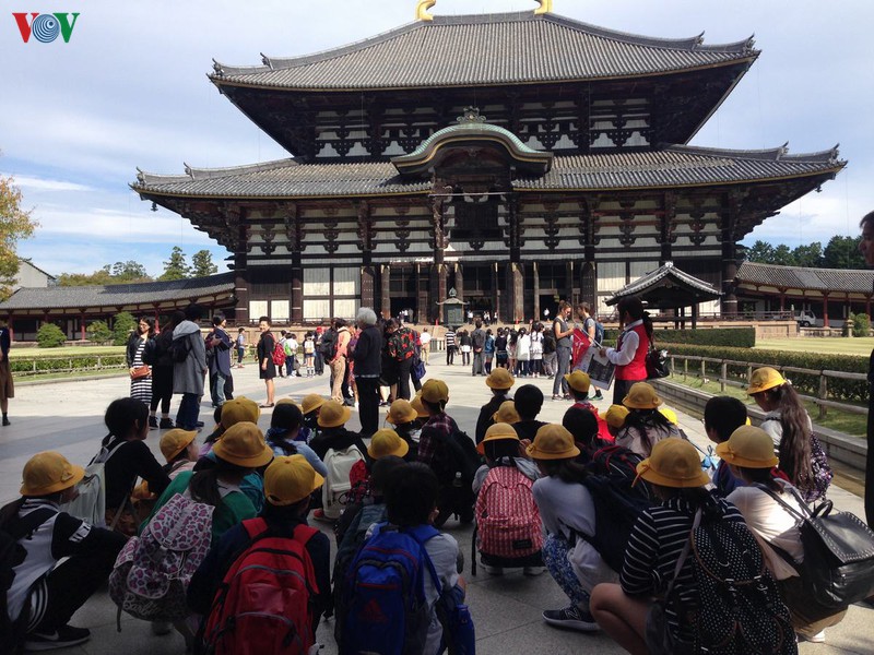 Trong khuôn viên quần thể Nara, bạn có thể ghé thăm ngôi chùa Todaiji - một di sản văn hóa thế giới, được xây dựng vào năm 728. Ngôi chùa được đánh giá là công trình kiến trúc bằng gỗ lớn nhất thế giới.