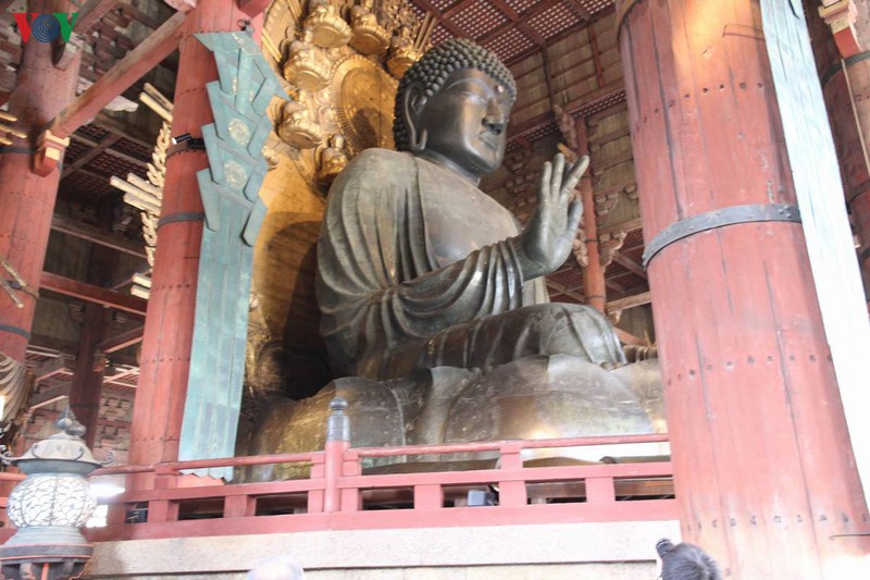 Là một trong những ngôi chùa cổ lớn nhất Nhật Bản, Todaiji cũng sở hữu vô số báu vật văn hóa với hơn 20 pho tượng Phật và tác phẩm nghệ thuật được xếp lọai Di sản Quốc gia. Trong đó, bức tượng Daibutsu (Đại Phật) là bức tượng Phật bằng đồng mạ vàng lớn nhất thế giới, nằm chính giữa Đại Phật Điện.