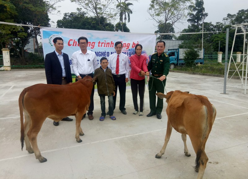 Trao tặng bò giống giúp đồng bào nghèo xã Quảng Nghĩa TP Móng Cái