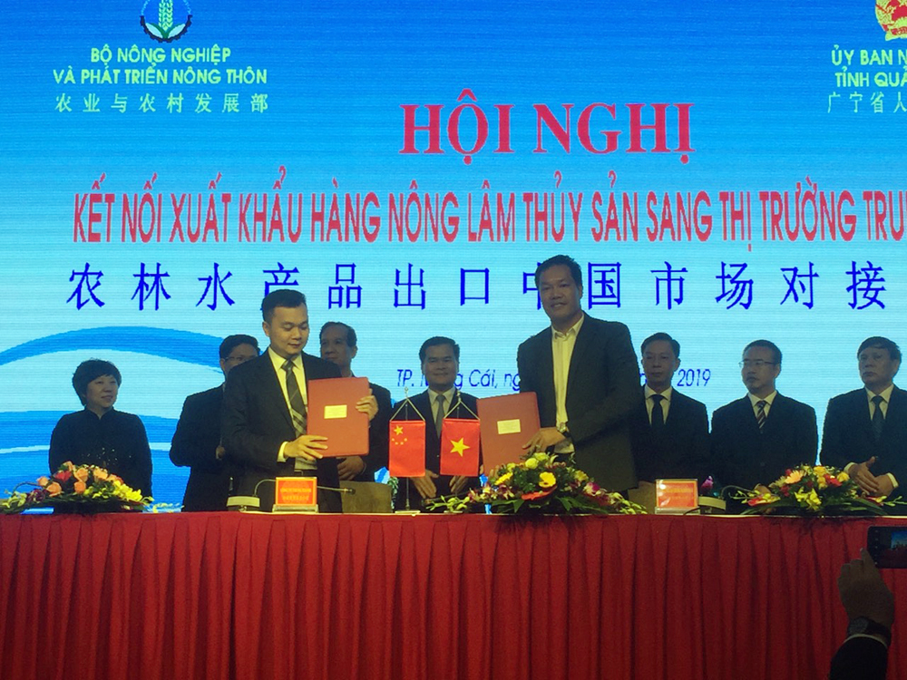 Đại diện DN Việt Nam và DN Trung Quốc ký 