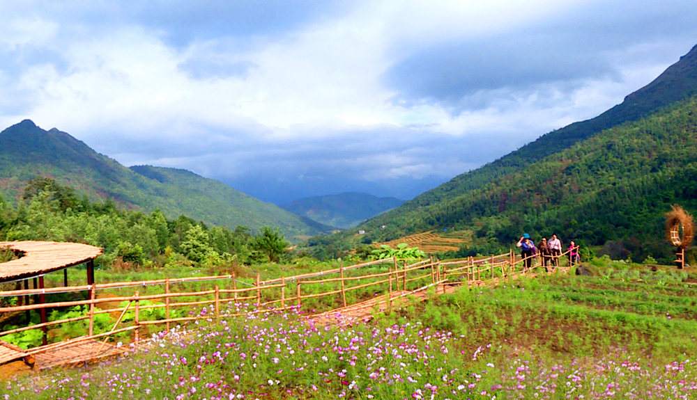 Visitors are immersed with the stunning beauty of the flower paradise...