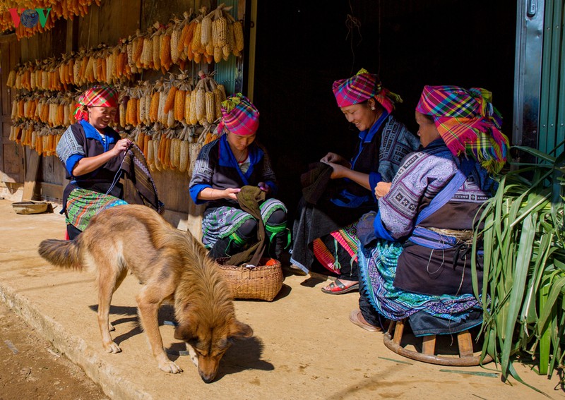 Phụ nữ Mông tập trung làm việc và trò chuyện vô cùng thảnh thơi sau một vụ cấy trồng.