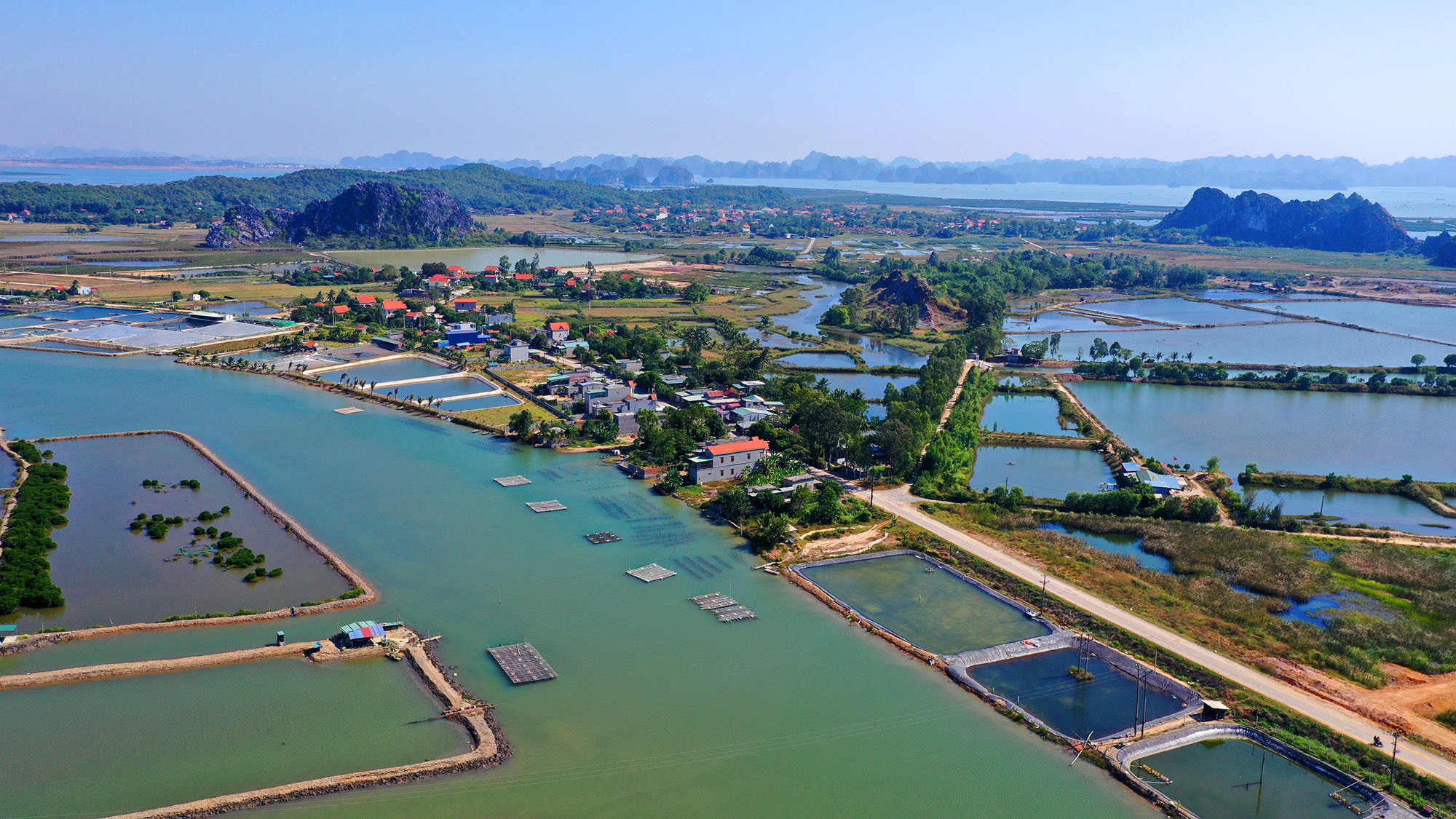 Nằm giữa 2 lạch biển là Bến Giang và Bình Hương, cùng với một mặt giáp với Vịnh Hạ Long, Hoàng Tân có hệ thống sinh thái biển và rừng tiêu biểu.