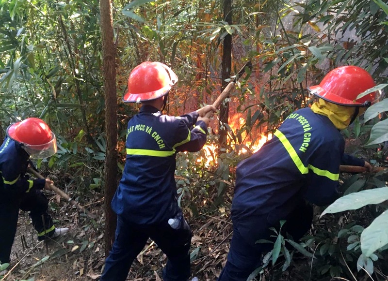 Cháy rừng tại xã Hạ Long, huyện Vân Đồn, ngày 7/12/2019