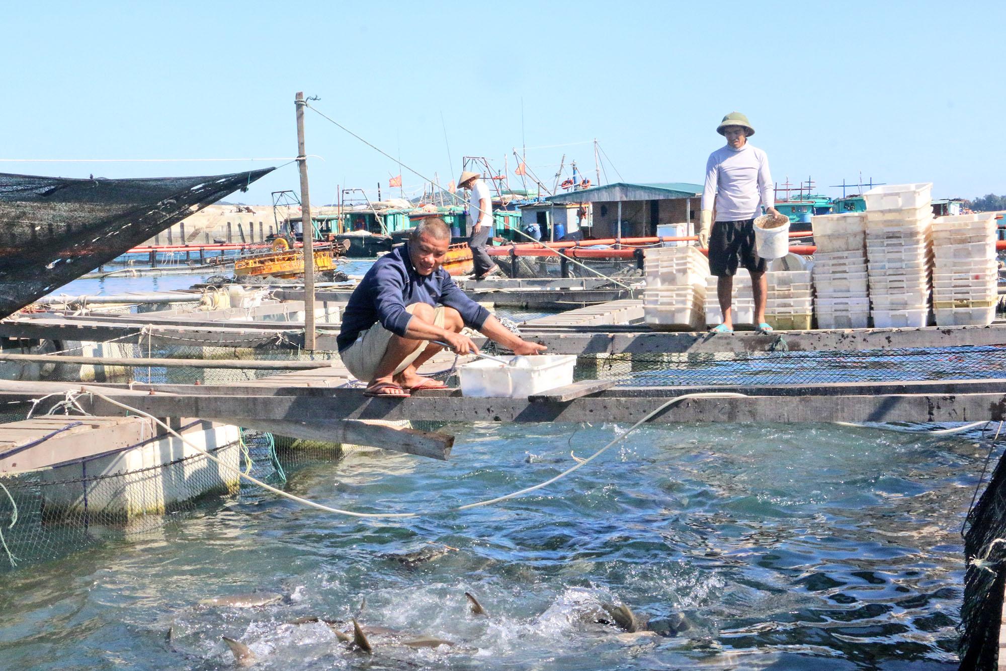 ông Hoàng Văn Thái - Đảng viên phát triên kinh tế mô hình nuôi trồng thủy hải sản , trú tại khu 3 thị trấn Cô Tô, huyện Cô Tô 