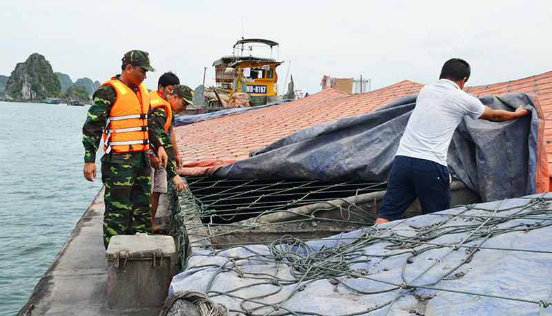 Đội tuần tra Hải đội 2 kiểm tra, bắt giữ sà lan chở than không có giấy tờ hợp lệ, tháng 6/2019.