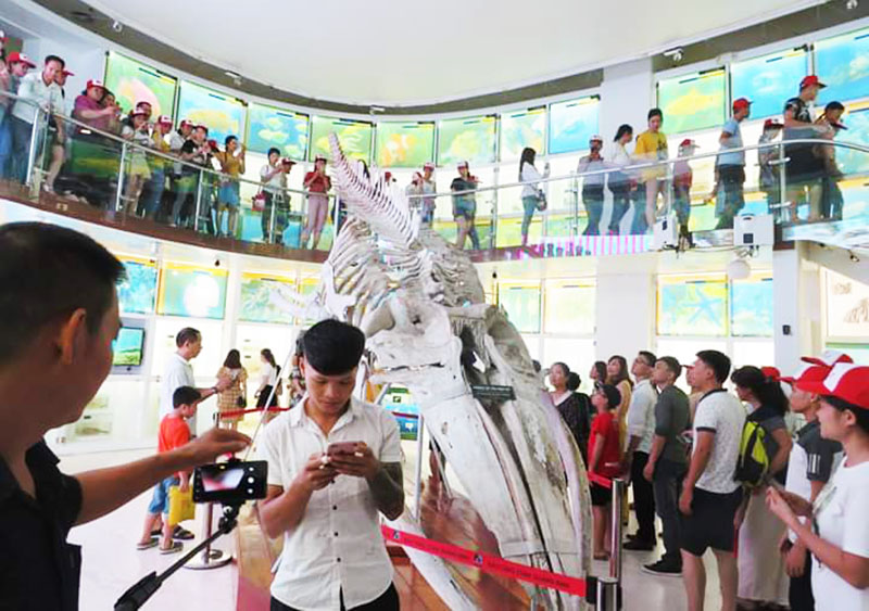 Năm 2019, Bảo tàng Quảng Ninh đón trên 360.000 du khách