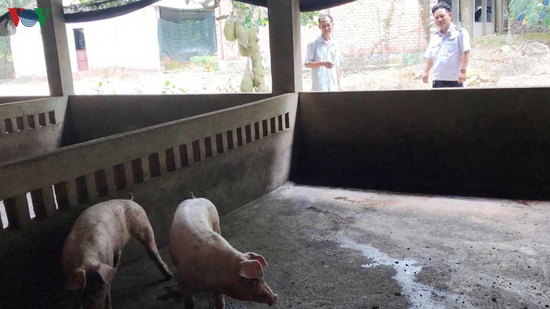 Cơ quan chức năng khuyến cáo người dân cần hết sức thận trọng trong việc tái đàn lợn hiện nay.