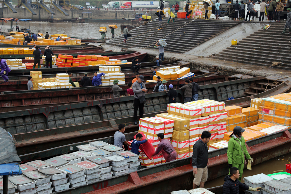 Xuất khẩu hàng thủy sản tại Cảng ICD Thành Đạt.