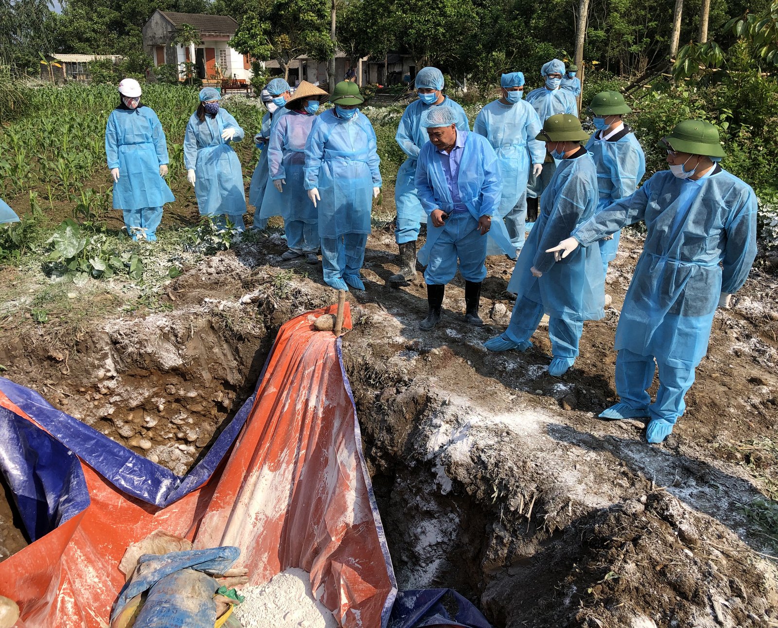 Đoàn công tác của tỉnh kiểm tra việc tiêu hủy đàn lợn bị dịch tả lợn Châu Phi tại xã Quảng Thịnh, huyện Hải Hà.