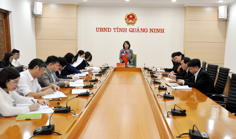 Đồng chí Vũ Thị Thu Thuỷ, Phó Chủ tịch UBND tỉnh phát biểu kết luận buổi thẩm định