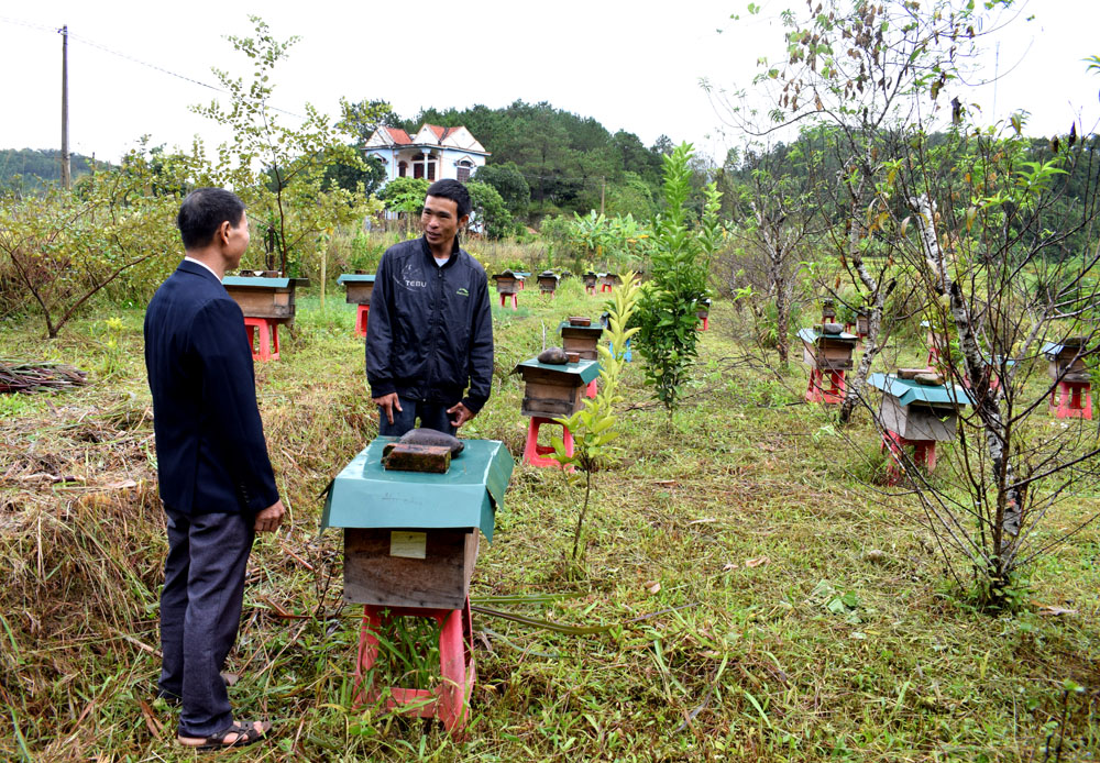Anh Lã Văn Hà, xã viên HTX Hợp Tiến (bên phải) trao đổi về nghề nuôi ong với đồng nghiệp