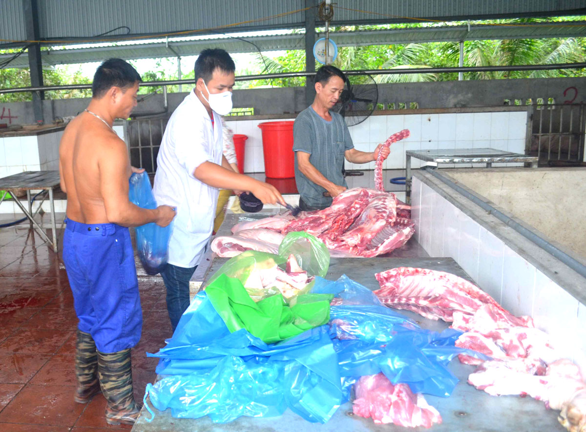 Cơ sở giết mổ của Công ty TNHH Thực phẩm Vang Thanh Dương, ở phường Quang Trung (TP Uông Bí) giết mổ lợn cung cấp thịt cho thị trường tiêu dùng. Ảnh: Công Thành.