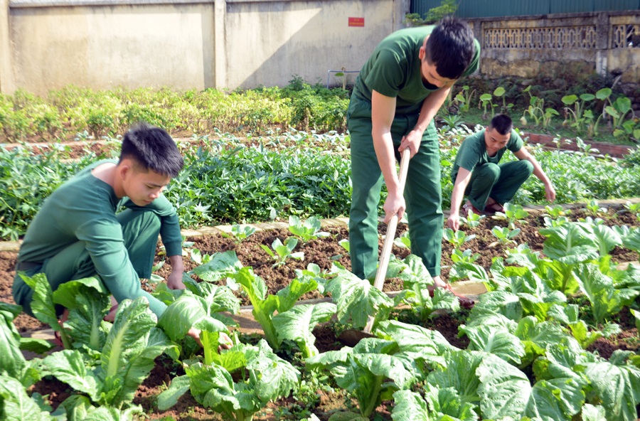 Sau nhiệm vụ, các chiến sĩ Đồn BP Cửa khẩu Hoành Mô dành thời gian chăm sóc vườn rau xanh phục vụ nhu cầu bữa ăn hàng ngày.