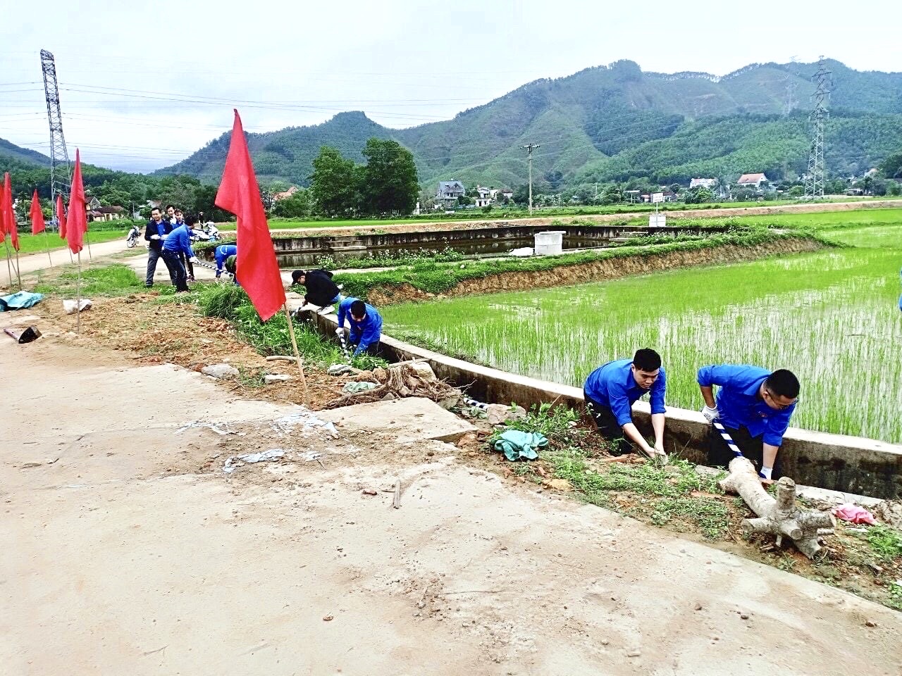 Tuổi trẻ TP Cẩm Phả tham gia chung sức xây dựng nông thôn mới.