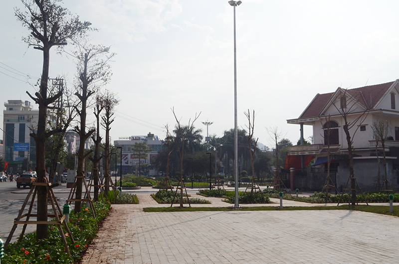 Công trình cải tạo sân tennis thành khu công viên cây xanh tại phường Cẩm Thành đã cơ bản hoàn thành.