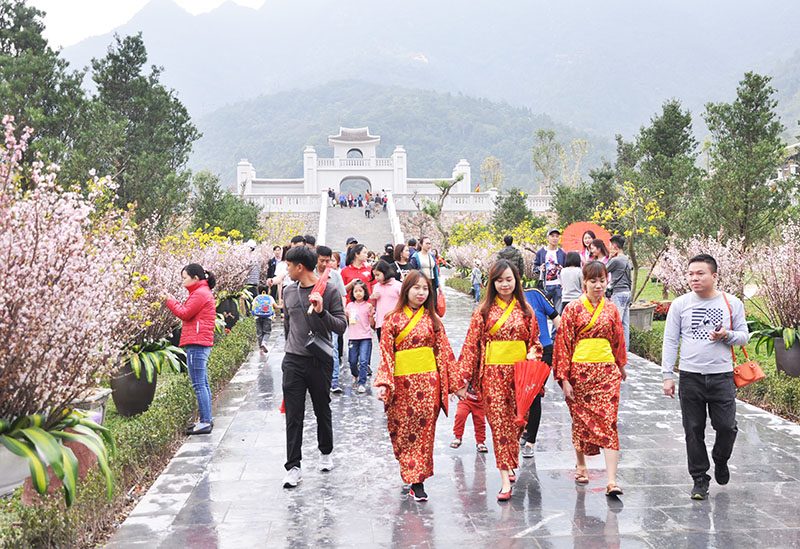 Lễ hội hoa Anh đào Nhật Bản - Mai vàng Yên Tử là sự kiện văn hóa thu hút đông đảo nhân dân 