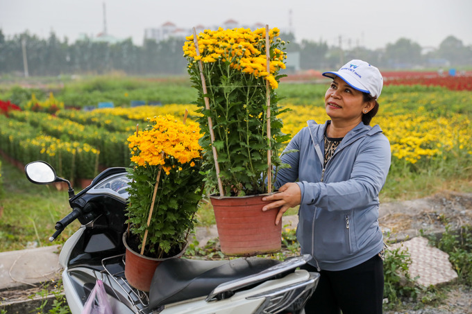 Sau khi xem hoa, bà Huỳnh Thúy (huyện Bình Chánh) mua hai chậu cúc với giá 80.000 đồng. 