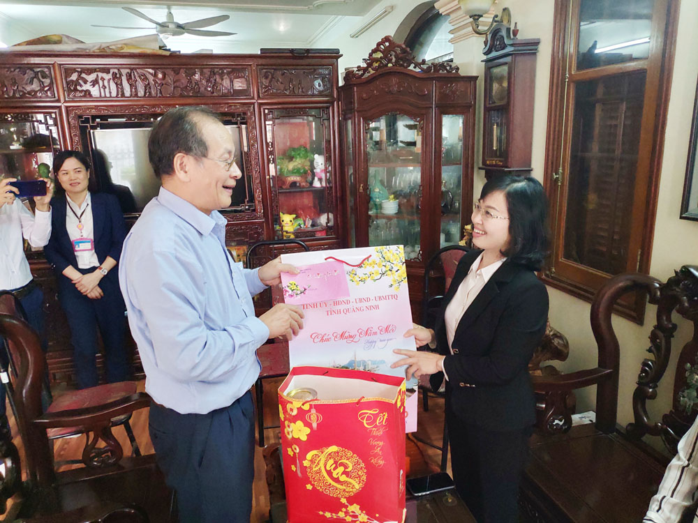 đồng chí Trịnh Thị Minh Thanh, Phó chủ tịch thường trực HĐND tỉnh thăm, chúc Tết gia đình thương binh Lương Công Thoan, phường Nam Khê