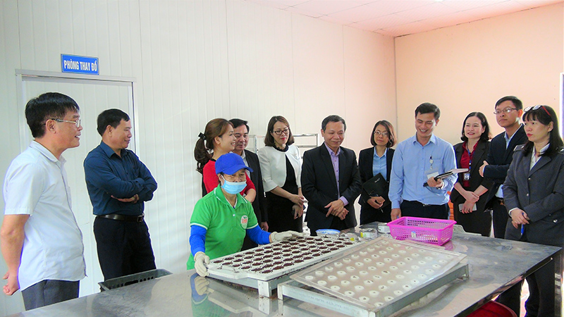 Đoàn kiểm tra quy trình trồng rau sạch tại Công ty CP đầu tư xây dựng và thương mại 188, phường Mạo Khê, TX Đông Triều.