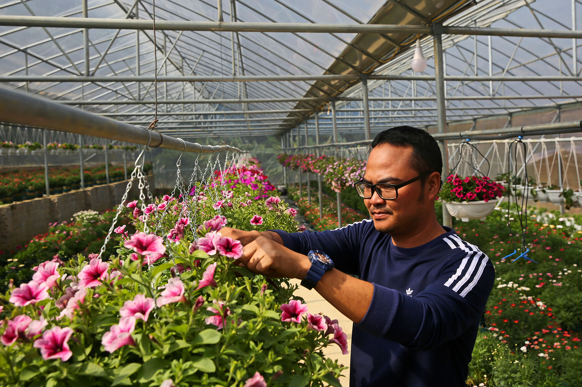 Những nghệ nhân tại vườn hoa Cao Sơn, xã Đồng Văn, chăm sóc các loại hoa phục vụ dịp Tết này.