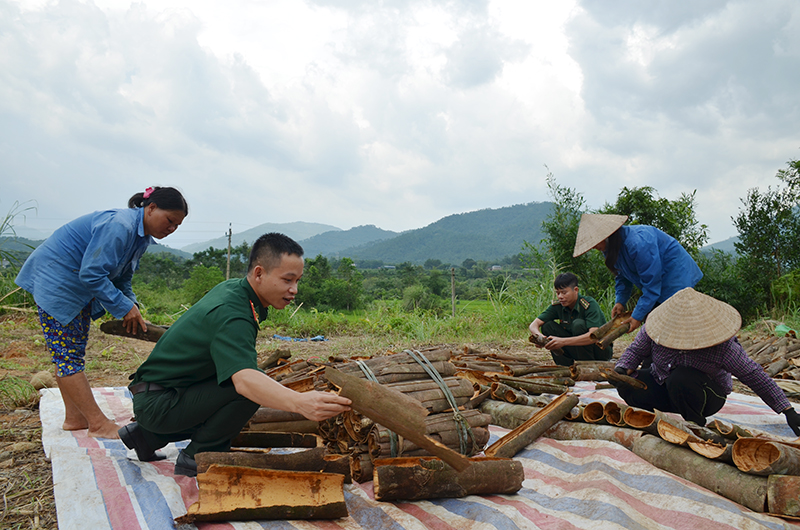 Đại úy Nguyễn Việt Hà, Đội trưởng Đội VĐQC, Đồn BBCK Hoành Mô xuống địa bàn giúp dân thu hoạch mùa màng.dân.