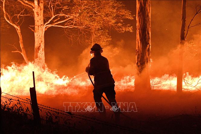Các đám cháy rừng bùng phát dữ dội tại New South Wales, Australia, ngày 31/12/2019. Ảnh: AFP/TTXVN