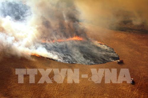 Khói lửa bốc lên từ đám cháy rừng tại Victoria, Australia. Ảnh: THX/ TTXVN